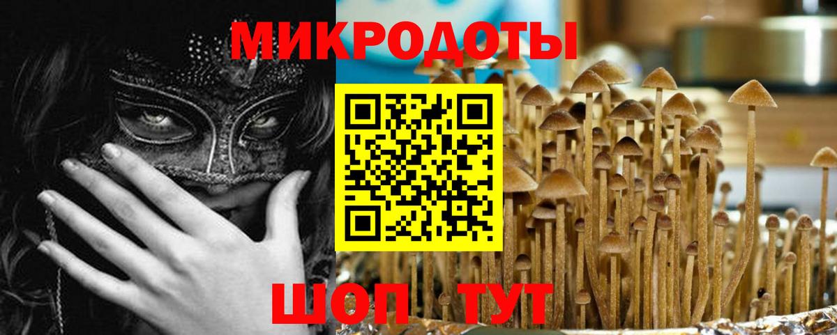 Галлюциногенные грибы мицелий  Псилоцибиновые грибы MAGIC MUSHROOMS  Каменск-Уральский  купить наркотик  Вход с VPN 